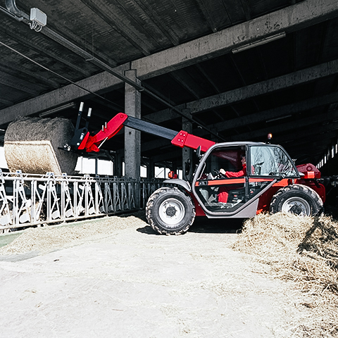 basculement vers l'agriculture