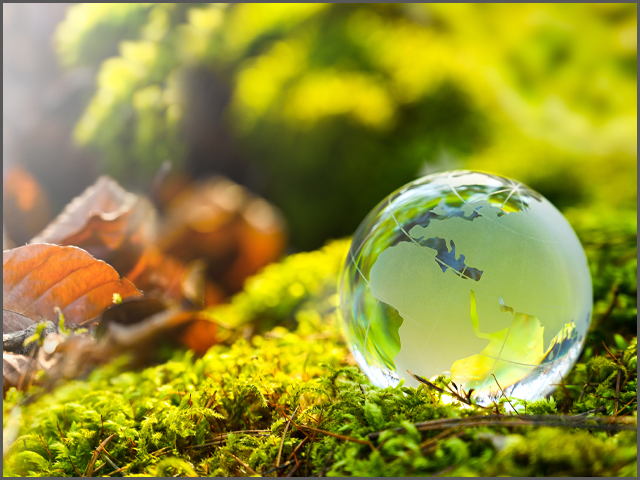 Supporting Sustainability