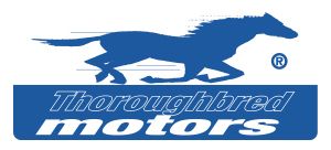 Thoroughbred