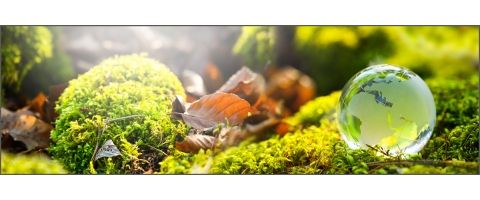 Supporting Sustainability