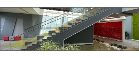 Cause for Celebration