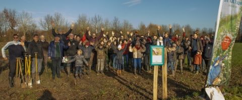 WATERHOEVEBOS 7000 M² GROTER DANKZIJ TVH