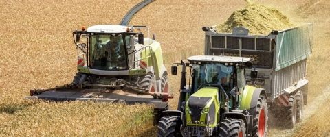 A green and white forage harvester driving through a golden field, shooting harvested crop through a long, curved spout into a large trailer pulled by an adjacent tractor.