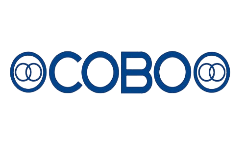 Cobo ignition switches