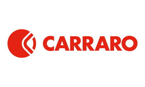 Carraro axle parts