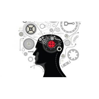 TVHU - Parts Professional