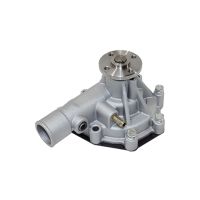 Skid steer loader water pumps